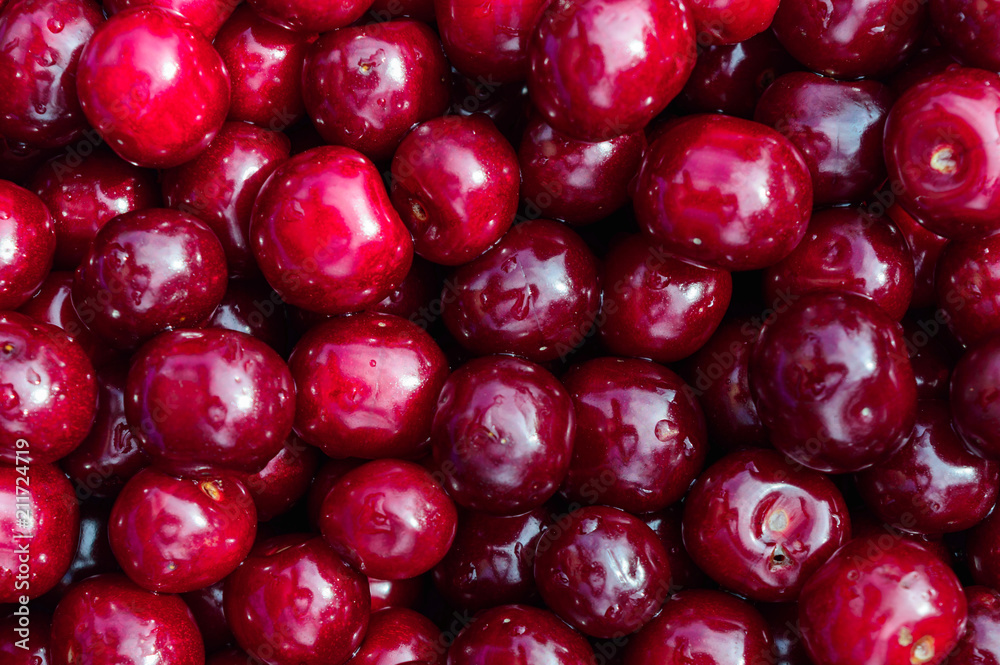 sweet cherry beautiful and juicy berry of summer sweet cherry beautiful and juicy berry of summer