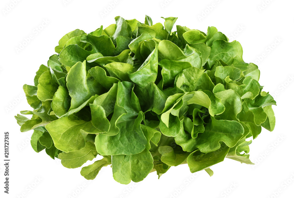 Fresh green lettuce salad leaves isolated on white background. Fresh green lettuce salad leaves isolated on white background.