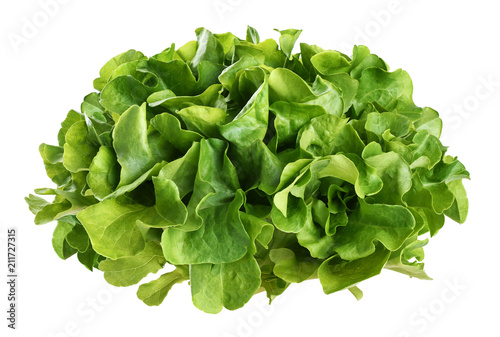 Fresh green lettuce salad leaves isolated on white background.