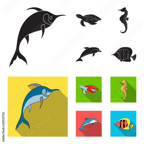 Merlin, turtle and other species.Sea animals set collection icons in black, flat style vector symbol stock illustration web.