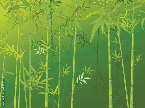 Bamboo forest scene