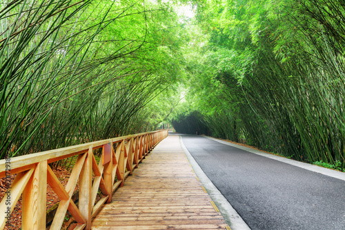 Scenic wooden walkway and road among bamboo woods © efired