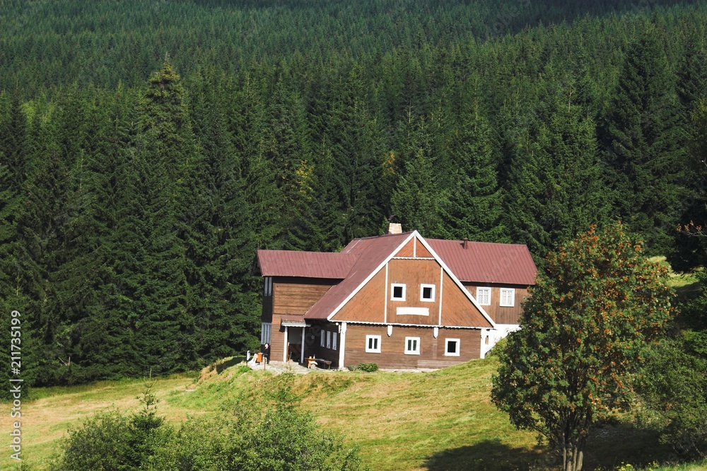 Fototapeta premium Beautiful cottage on the meadow in front of forest in the Giant Mountains