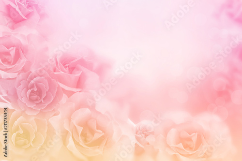 beautiful pink roses flower border on soft background for valentine or wedding card in pastel tone ,copy space for text 