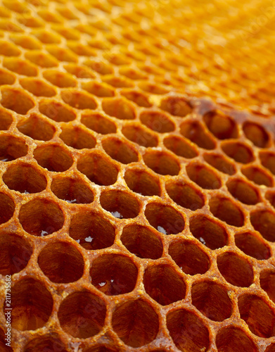 Yellow Honeycomb closeup background