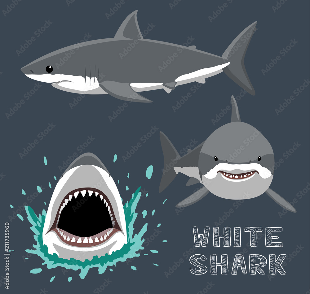 Obraz premium Ilustracja wektorowa kreskówka biały rekin