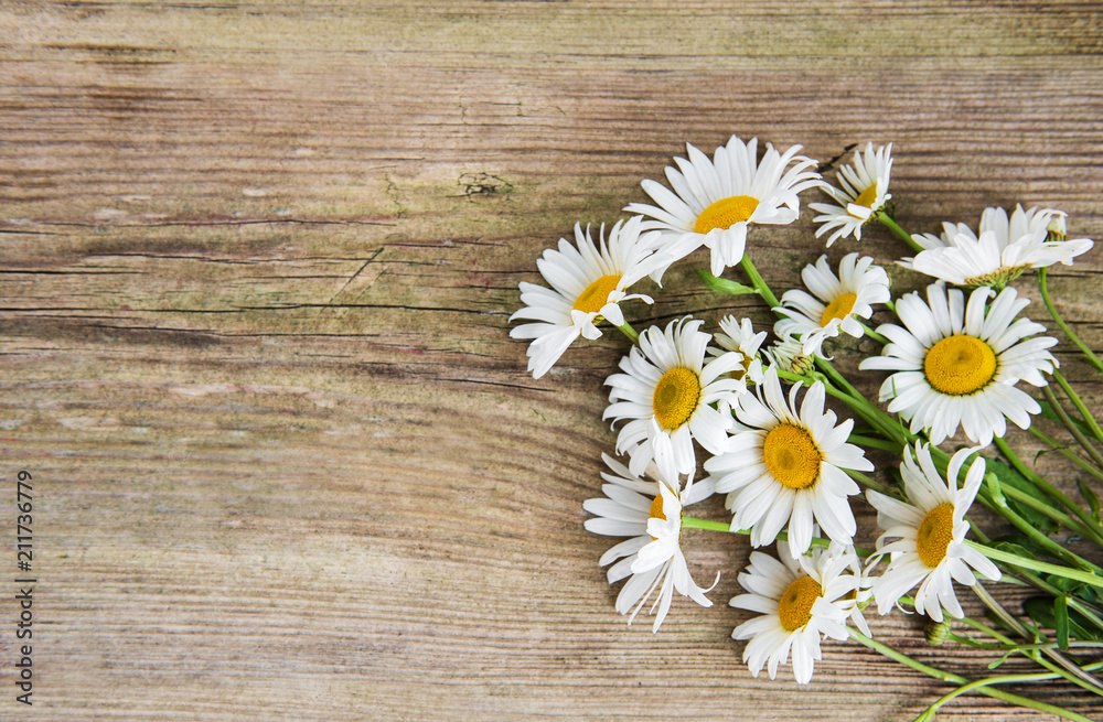 Fototapeta premium Chamomile flowers on a wooden table