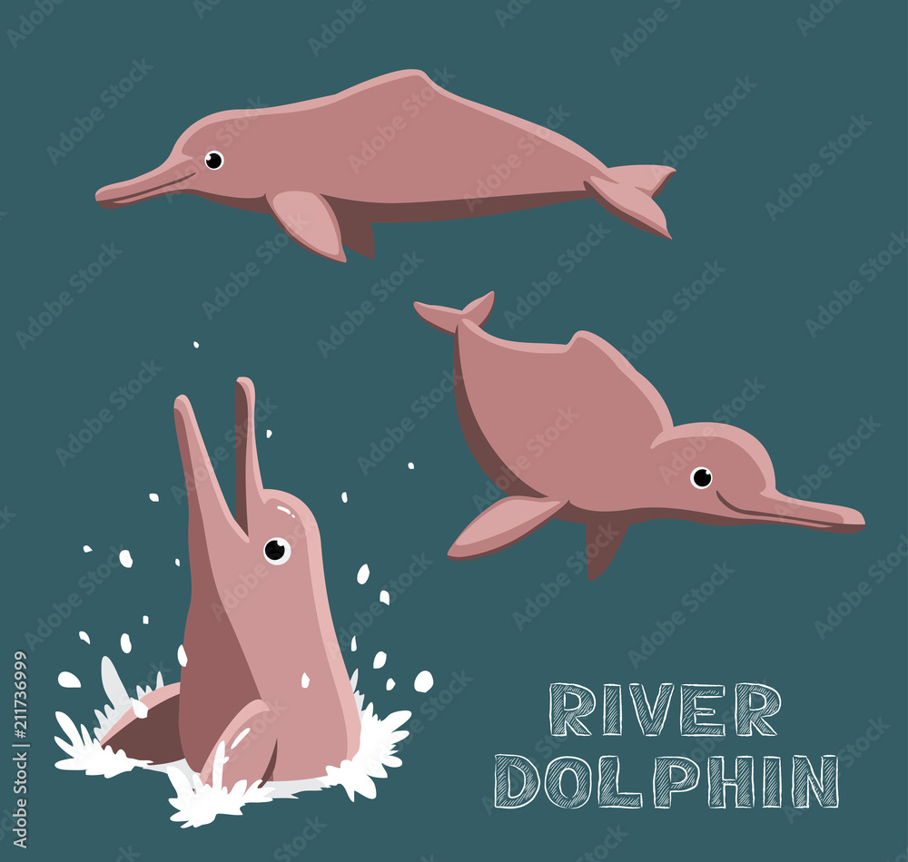 Obraz premium River Dolphin Cartoon Vector Illustration