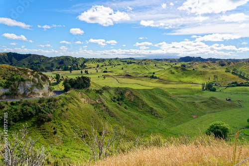 Fototapeta Naklejka Na Ścianę i Meble -  Rural scenery in Taranaki, New Zealand
