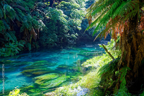Blue Spring, Waikato, New Zealand