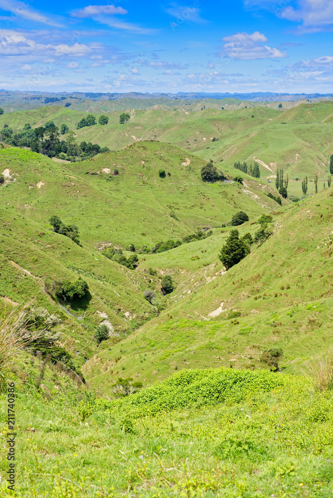 Rural scenery in Taranaki, New Zealand