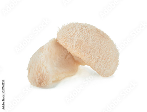 Lion mane mushroom isolated on white background.