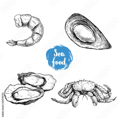 Seafood sketches set. Cooked grilled shrimp, opened mussel,  oysters group and king crab. Sea market products collection. Vector illustration isolated on white background.