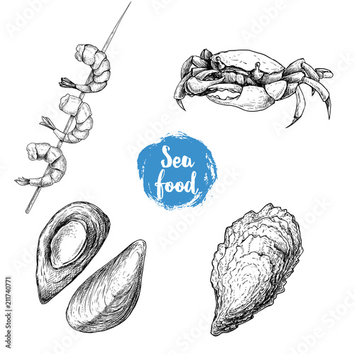 Seafood sketches set. Cooked grilled shrimps on bamboo stick, opened mussels, oyster and crab. Sea market products collection. Vector illustration isolated on white background.