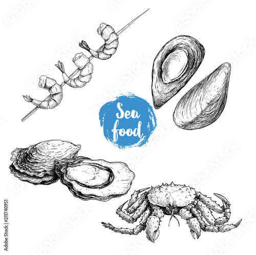 Seafood sketches set. Cooked grilled shrimps on bamboo stick, opened mussels, oyster and king crab. Sea market products collection. Vector illustration isolated on white background.