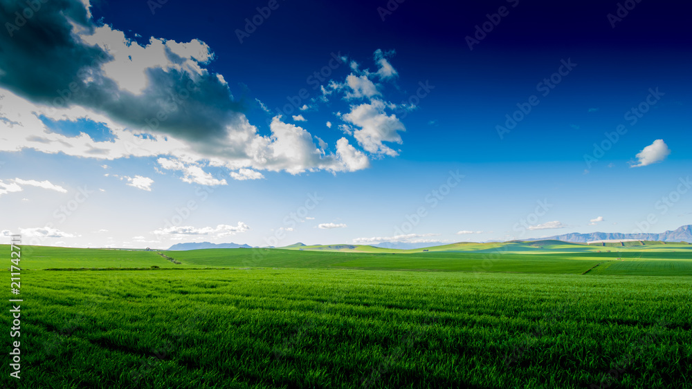 Green fields blue sky