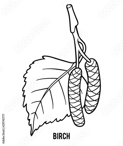 Coloring book for children, Birch leaf