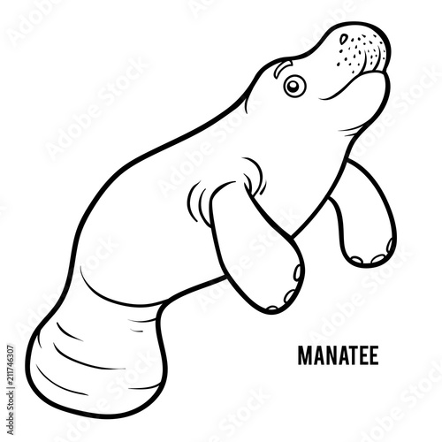 Coloring book, Manatee