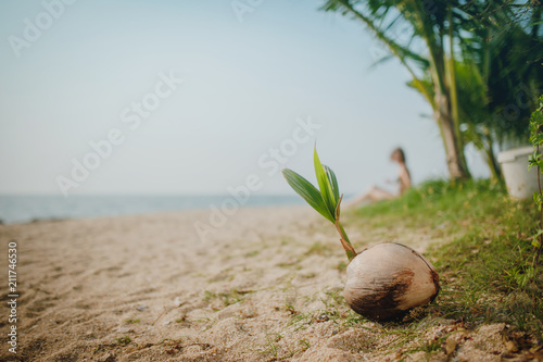 Summer background of panorama beach sea with coconut green on sand, nature vocation photo