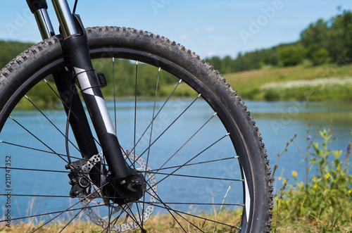 Mountain bike wheel on the pond.