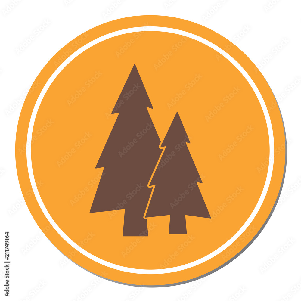 Fir Trees forest Fir Trees forest
