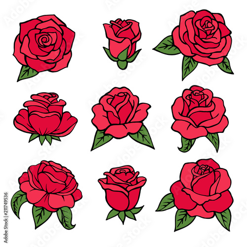 Illustrations of plants. Red roses symbols of love. Wedding flowers isolate on white