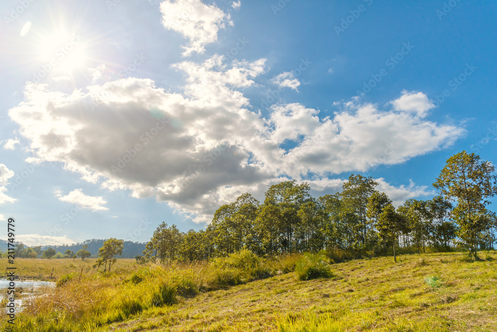 Beautiful landscape of Thung Salaeng Luang National Park, Savanna in National Park of Thailand Beautiful landscape of Thung Salaeng Luang National Park, Savanna in National Park of Thailand