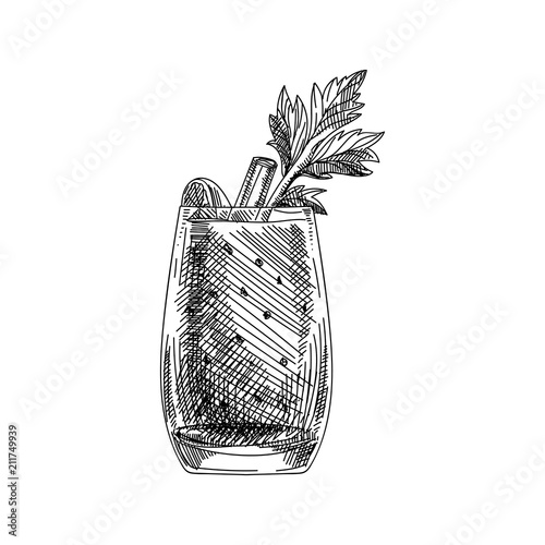 vector hand drawn coctail Illustration