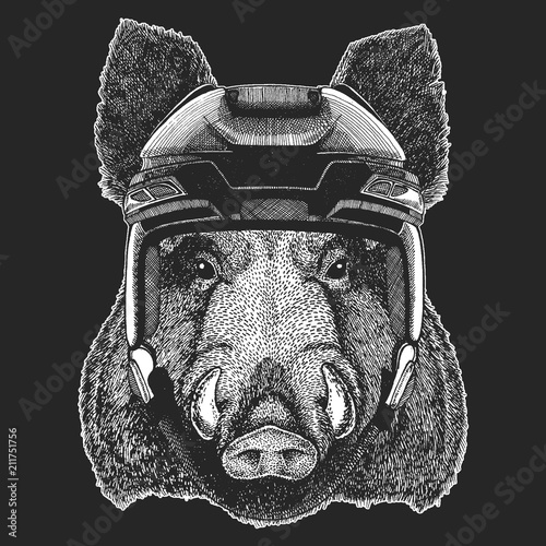Photography Aper, boar, hog, wild boar Wild animal wearing hockey helmet