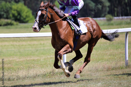 Horse race (Gallop)