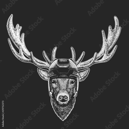 Photography Deer Wild animal wearing hockey helmet. Print for t-shirt design.