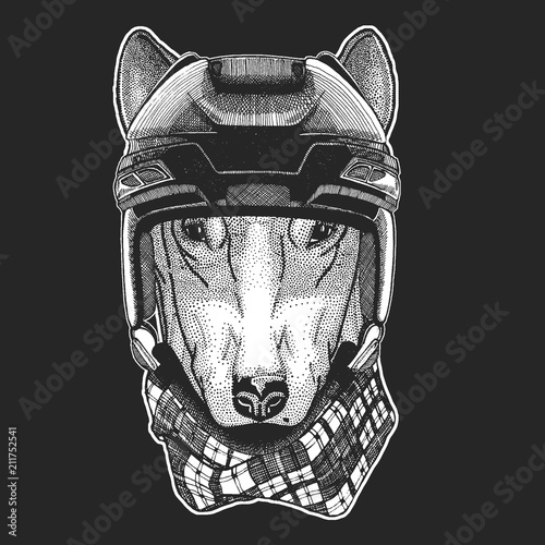 Photography Wild animal wearing hockey helmet. Print for t-shirt design.