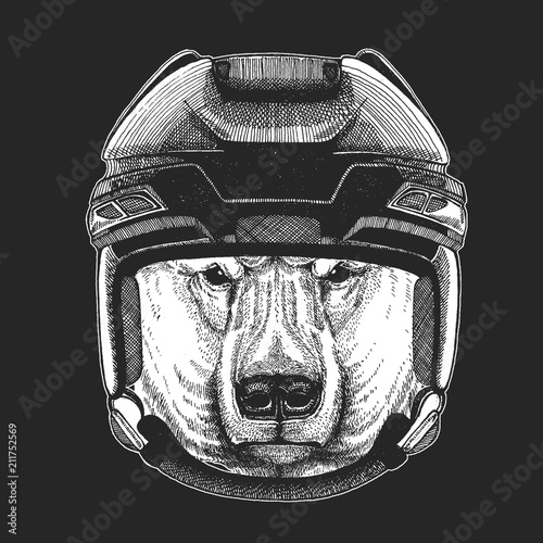 Canvas Print Wild animal wearing hockey helmet. Print for t-shirt design.