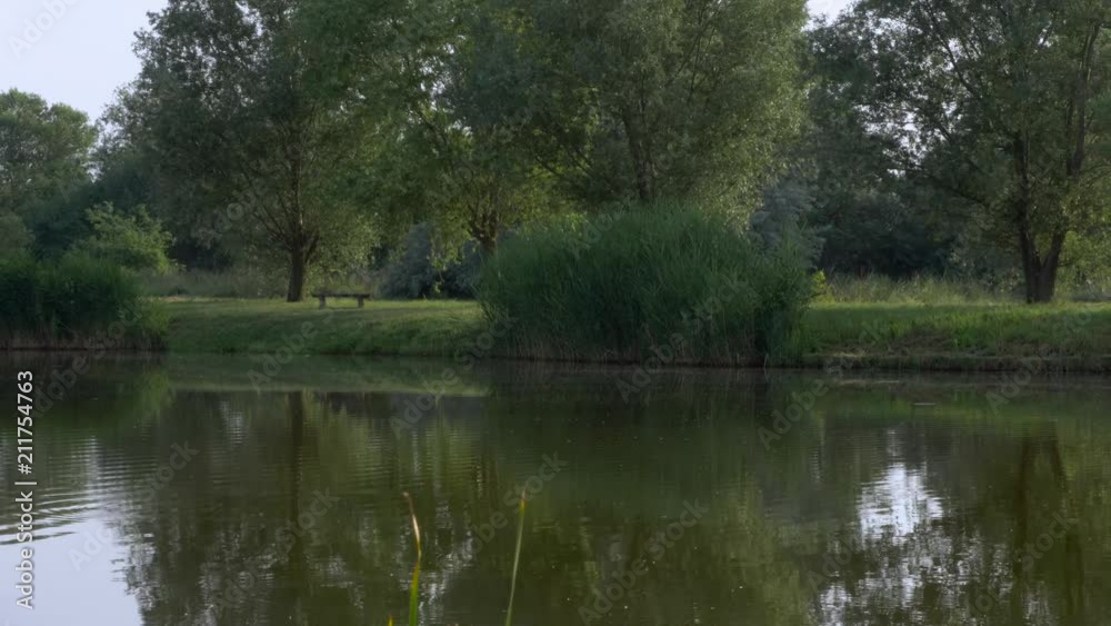 a green lake near Székesfehérvár a green lake near Székesfehérvár