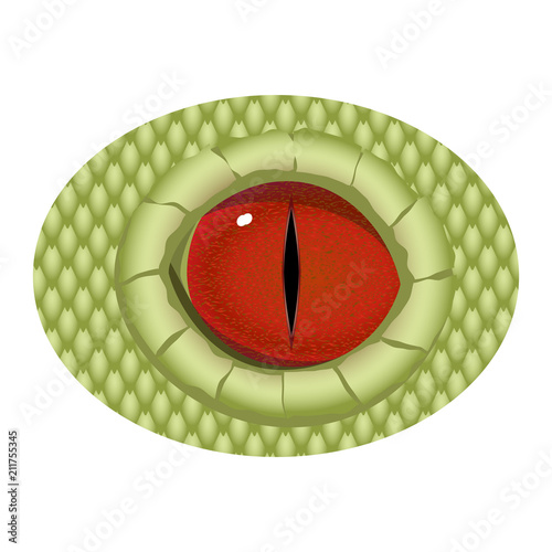 Red realistic eye of reptile with a narrow pupil. Vector eye of dragon.