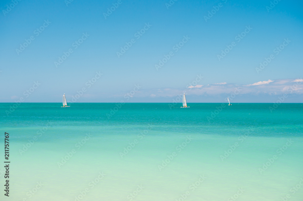Catamarans with sail on calm surface of sea lagoon sunny day. Recreational sport catamaran. Boating and marine industry. Catamarans with sail near Antigua coastline. Leisure and sport at seaside