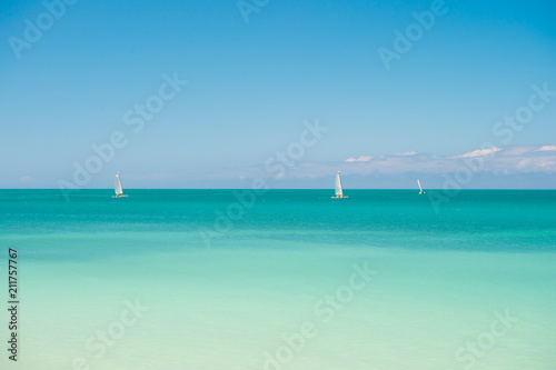 Catamarans with sail on calm surface of sea lagoon sunny day. Recreational sport catamaran. Boating and marine industry. Catamarans with sail near Antigua coastline. Leisure and sport at seaside