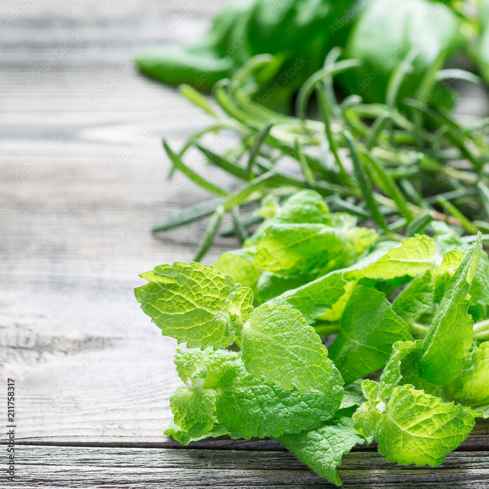 Basil, mint and rosemary. Fresh green herbs laying on wooden background, square format, copy space Basil, mint and rosemary. Fresh green herbs laying on wooden background, square format, copy space