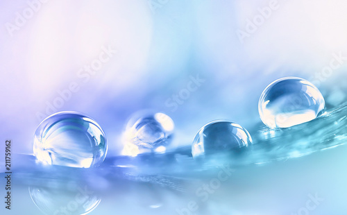 Beautiful large transparent water drops or rain water on blue purple turquoise soft background, macro. Elegant delicate artistic image nature.