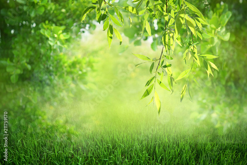 Natural green defocused spring summer blurred background with sunshine. Juicy young grass and foliage on nature in rays of sunlight, scenic framing, copy space.