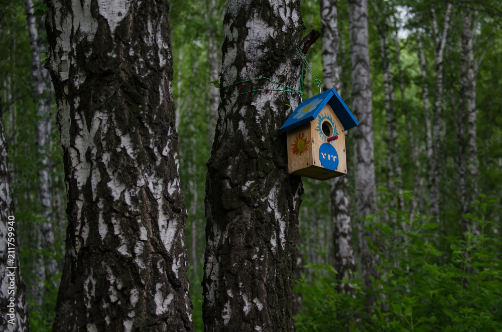 Bird feeder for forest birds. Care of nature.