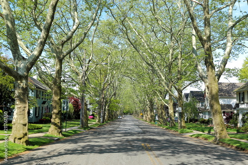 Nice suburban alley or mall, lined with shade trees,Bellerose is a middle class neighborhood on the eastern edge of the New York City borough of Queens, along the border of Queens and Nassau County.
