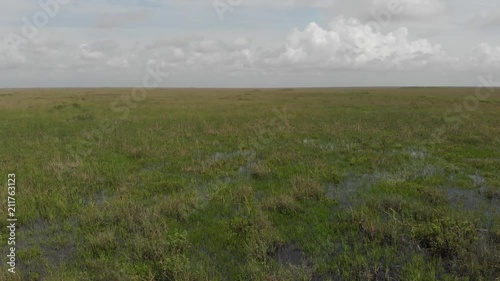 Florida Everglades, slow aerial hover over sawgrass and high water photo