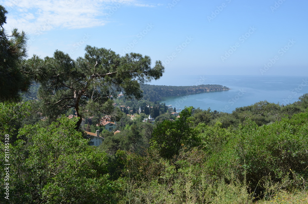 landscape pine tree sky nature sea island rock mountain landscape pine tree sky nature sea island rock mountain