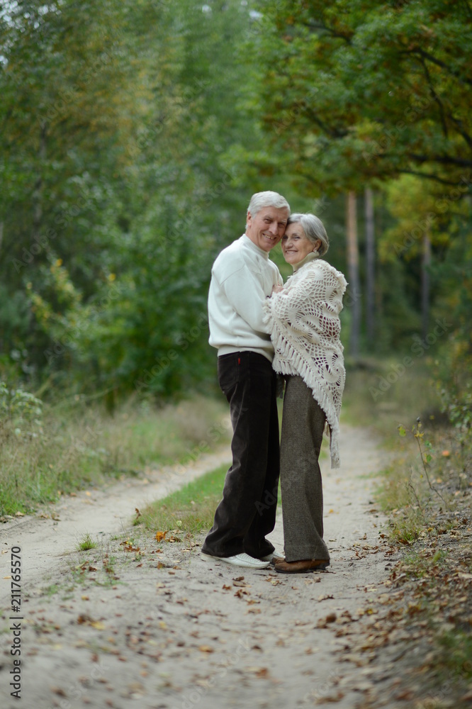 Senior couple hugging  - obrazy, fototapety, plakaty 