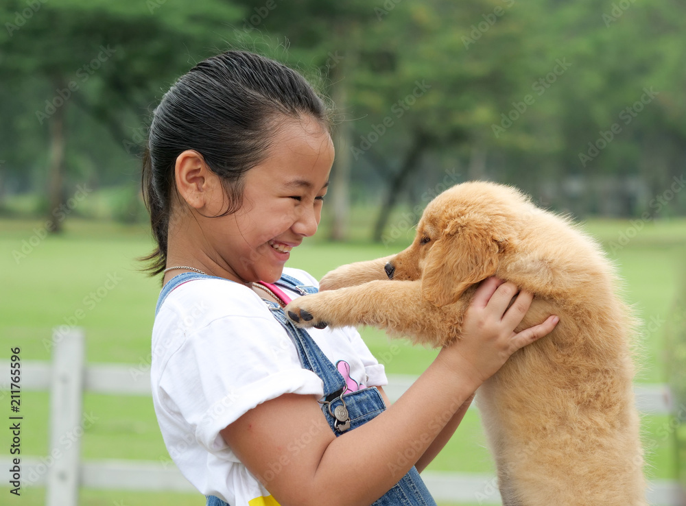 Little Asian girl playing with a cute golden retriever dog in the park. Little Asian girl playing with a cute golden retriever dog in the park.