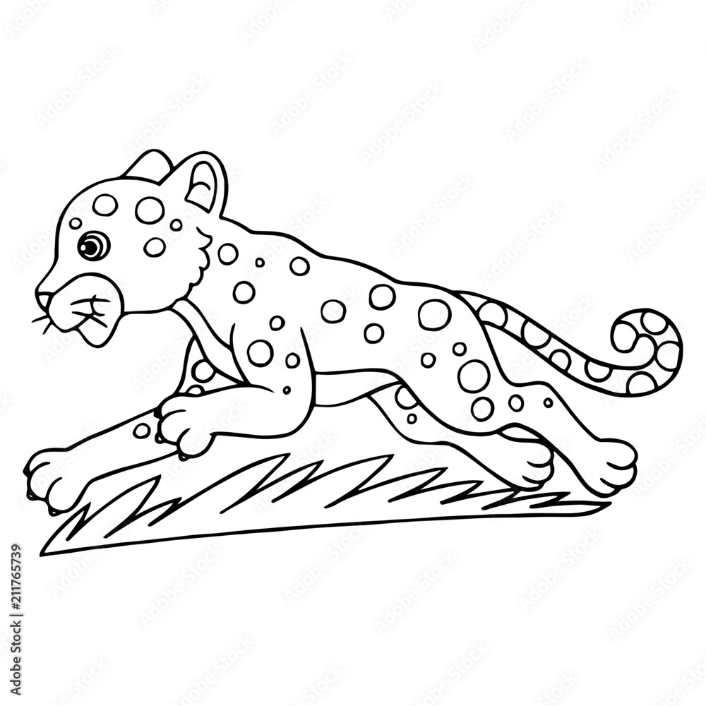 Fototapeta premium Leopard cartoon illustration isolated on white background for children color book