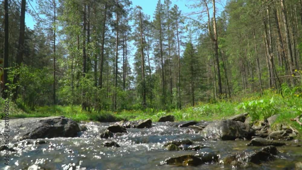 The woman the traveler with a backpack and sticks for tracking passes a mountain stream. The woman the traveler with a backpack and sticks for tracking passes a mountain stream.