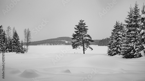 Winter in Schweden. Der dunkle Wald von Hälsingland © Christian Faludi