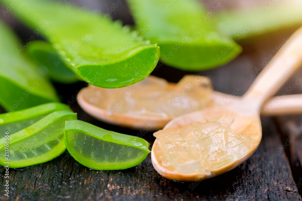 Aloe vera on wooden spoon on wooden table There are many useful herbs. Aloe vera on wooden spoon on wooden table There are many useful herbs.